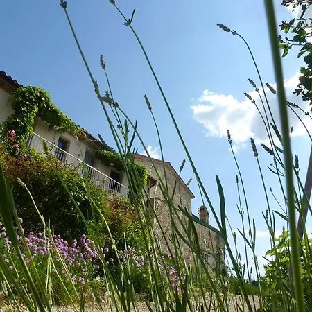 Casarciccia Casa rural *