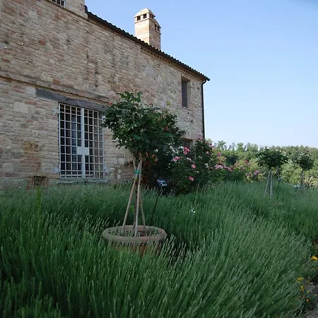 Casa rural Casarciccia Todi
