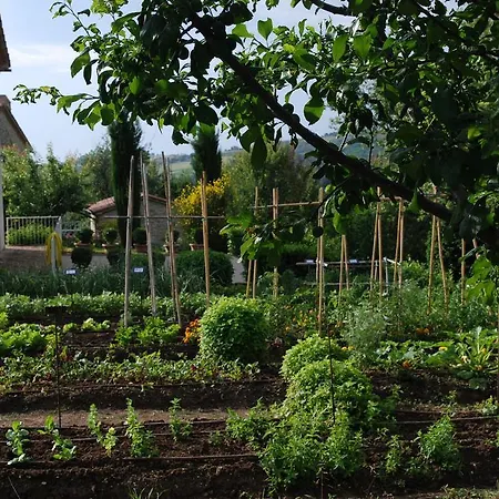 Casarciccia Casa di campagna Todi
