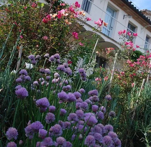 Casa di campagna Casarciccia *