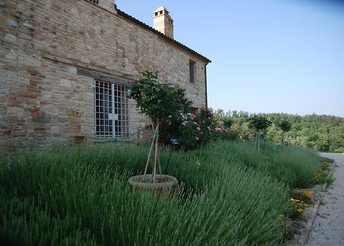 Casa di campagna Casarciccia Todi