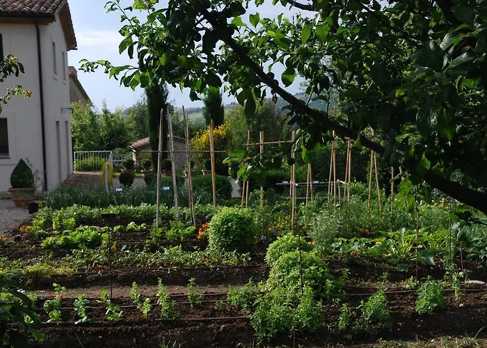 Casarciccia Casa di campagna Todi